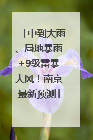 中到大雨、局地暴雨+9级雷暴大风！南京最新预测