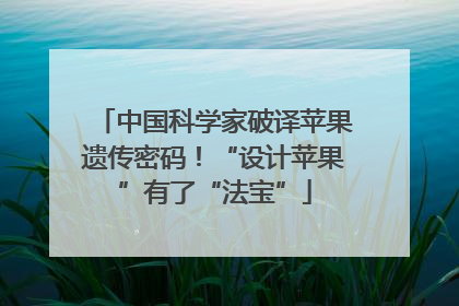 中国科学家破译苹果遗传密码！“设计苹果”有了“法宝”