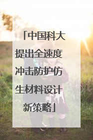 中国科大提出全速度冲击防护仿生材料设计新策略