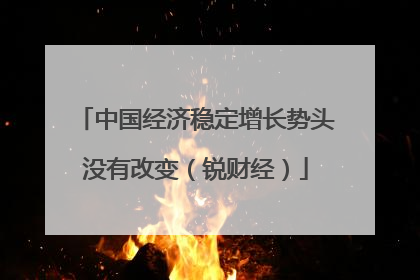 中国经济稳定增长势头没有改变（锐财经）