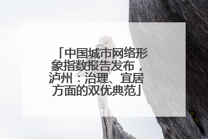 中国城市网络形象指数报告发布，泸州：治理、宜居方面的双优典范