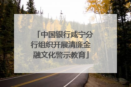 中国银行咸宁分行组织开展清廉金融文化警示教育