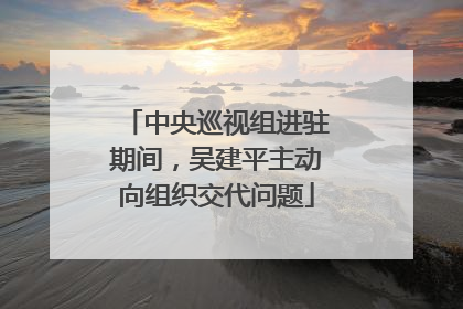中央巡视组进驻期间，吴建平主动向组织交代问题