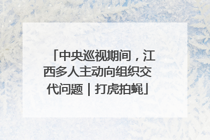 中央巡视期间，江西多人主动向组织交代问题｜打虎拍蝇