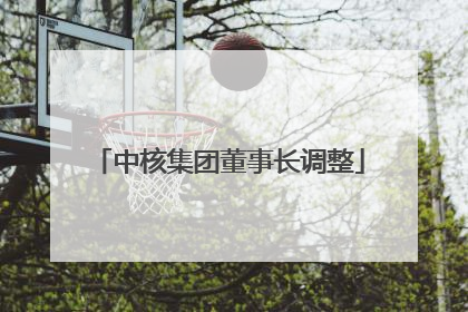 中核集团董事长调整