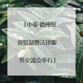 中泰·德州投资贸易暨法律服务交流会举行