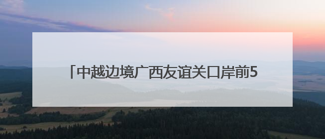 中越边境广西友谊关口岸前5月进出口货运量增长超三成