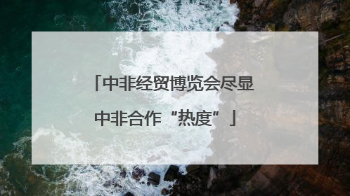 中非经贸博览会尽显中非合作“热度”