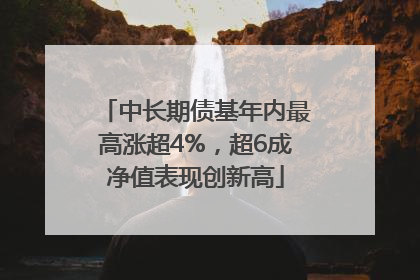 中长期债基年内最高涨超4%，超6成净值表现创新高