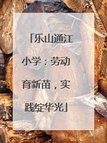 乐山通江小学：劳动育新苗，实践绽华光