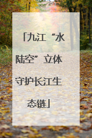 九江“水陆空”立体守护长江生态链