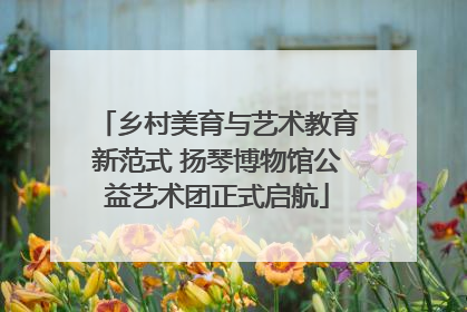 乡村美育与艺术教育新范式 扬琴博物馆公益艺术团正式启航