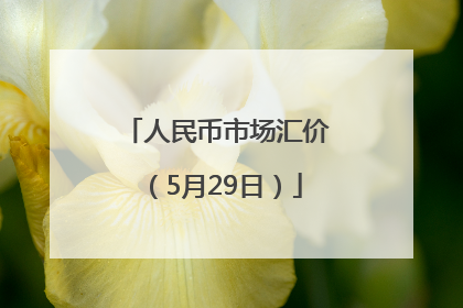 人民币市场汇价（5月29日）