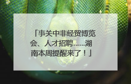 事关中非经贸博览会、人才招聘……湖南本周提醒来了！