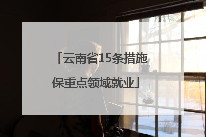 云南省15条措施保重点领域就业