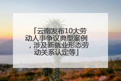 云南发布10大劳动人事争议典型案例，涉及新就业形态劳动关系认定等