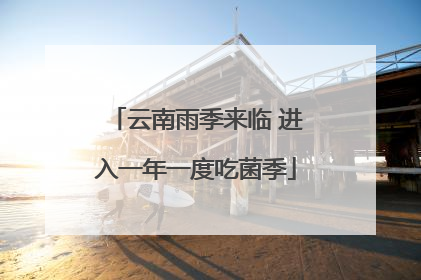 云南雨季来临 进入一年一度吃菌季