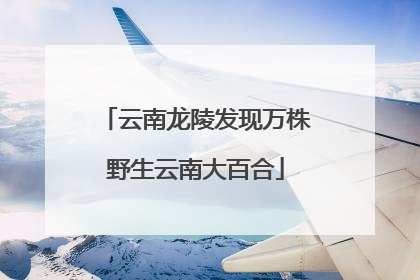 云南龙陵发现万株野生云南大百合
