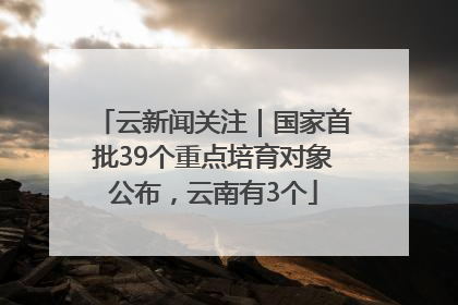 云新闻关注｜国家首批39个重点培育对象公布，云南有3个