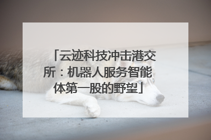 云迹科技冲击港交所：机器人服务智能体第一股的野望