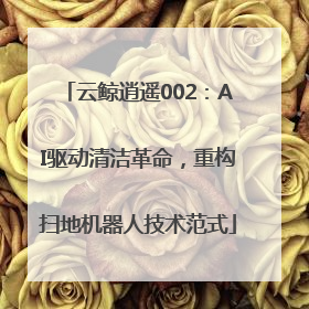 云鲸逍遥002：AI驱动清洁革命，重构扫地机器人技术范式