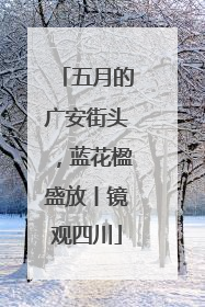 五月的广安街头，蓝花楹盛放丨镜观四川