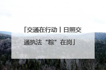 交通在行动丨日照交通执法“粽”在岗