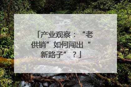产业观察：“老供销”如何闯出“新路子”？
