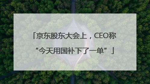 京东股东大会上，CEO称“今天用国补下了一单”