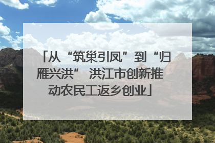 从“筑巢引凤”到“归雁兴洪” 洪江市创新推动农民工返乡创业