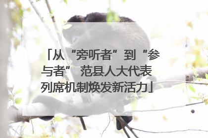 从“旁听者”到“参与者” 范县人大代表列席机制焕发新活力