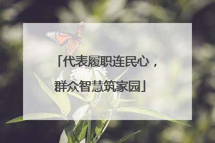 代表履职连民心，群众智慧筑家园