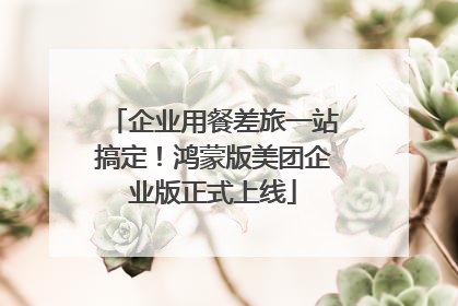 企业用餐差旅一站搞定！鸿蒙版美团企业版正式上线