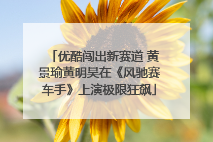 优酷闯出新赛道 黄景瑜黄明昊在《风驰赛车手》上演极限狂飙