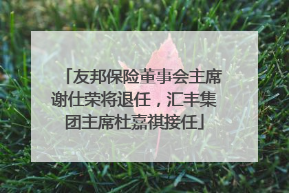 友邦保险董事会主席谢仕荣将退任，汇丰集团主席杜嘉祺接任