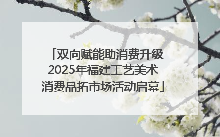 双向赋能助消费升级 2025年福建工艺美术消费品拓市场活动启幕