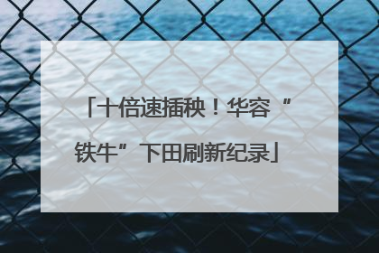 十倍速插秧！华容“铁牛”下田刷新纪录