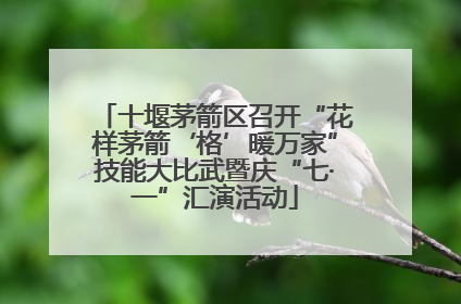 十堰茅箭区召开“花样茅箭‘格’暖万家”技能大比武暨庆“七·一”汇演活动