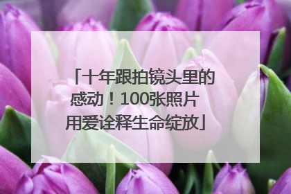 十年跟拍镜头里的感动！100张照片用爱诠释生命绽放