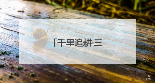 千里追耕·三夏时节丨小小树莓拉动大产业