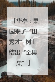 华亭：果园来了“田秀才”树上结出“金果果”