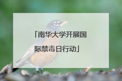 南华大学开展国际禁毒日行动