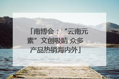 南博会：“云南元素”文创吸睛 众多产品热销海内外