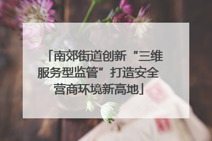 南郊街道创新“三维服务型监管”打造安全营商环境新高地