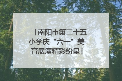 南阳市第二十五小学庆“六一”美育展演精彩纷呈