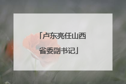 卢东亮任山西省委副书记