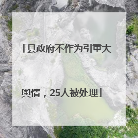 县政府不作为引重大舆情，25人被处理