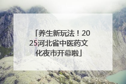 养生新玩法！2025河北省中医药文化夜市开幕啦