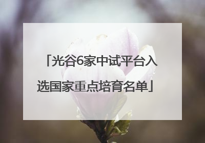 光谷6家中试平台入选国家重点培育名单