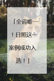 全省唯一！日照这一案例成功入选！